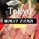 코코카라 | 도쿄 야키니쿠 맛집 야키니쿠 코코카라 롯폰기점|정보, 메뉴 솔직 후기