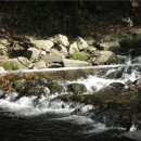 정윤농장 이미지