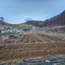 병조농장 이미지