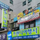 프랜디여행사