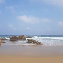 킴스 행정사사무소 이미지