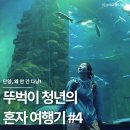 청년협업마을 오픈라운지 | 단양, 왜 안 간 다냥!｜뚜벅이 청년의 혼자 여행기 #4