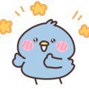 파파모터스 이미지