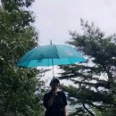 틱톡..Tik Tok (증산 우산춤) 이미지