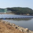 대동강업 이미지