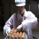 방송양계장 이미지