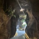 동굴왕족 | 패키지 신혼여행 마지막 5~8일차 (플로팅조식,태국왕족스파,차웽거리,어니언식당,허니문스냅,쇼핑센터)