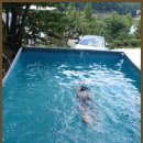 원골힐링캠프 이미지