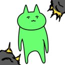 강아지랑나랑 네이버블로그