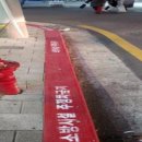 주정차금지 지정 이미지