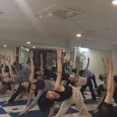 홀릭코리아 | [ H요가 ] 홀릭빈야사 원데이 클래스 후기