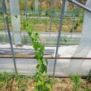 열매농장 이미지