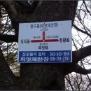 충북의 알프스 종주 이미지