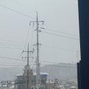 제니스학원고등관 - 25902 | 제니스학원 고등관