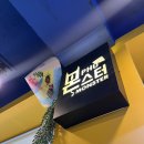 쌀국수 반가 | 서울 영등포맛집 몬스터 pho 쌀국수 맛집 내 돈 내산 솔직후기 식당 리뷰