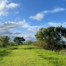 삼락생태공원 이미지