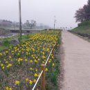 위시리스트