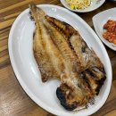 모슬포약국 | 18개월 아기와 함께 한 제주여행 Day 3 ~ 5 🍊✈️👦🏻