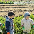 봉산농장 이미지