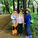 우장산둘레길 이미지