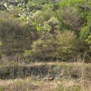 동막골약수터 이미지