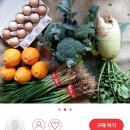 청대농산물