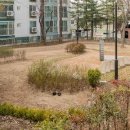 한아름어린이공원 이미지