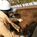 금천구 시흥2동 주민센터 이미지