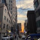 홍두콩이