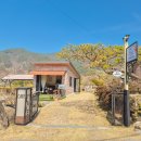 산수유꽃길민박 이미지