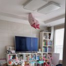 신동-117 이미지