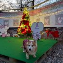 칠봉 화장실 | 🎄 [캠핑] 댕댕이와 함께한 2박3일 클캠 '칠봉 두루뭉 캠핑장' 후기