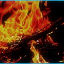 서초중앙로24길 19 이미지