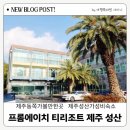 프롬제주 | 제주동쪽가볼만한곳 완벽 동선 제주성산가성비숙소 프롬에이치 티리조트 제주 성산 복층룸 후기