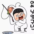 쉿 비밀이야 Daum카페