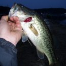 고복마트 이미지