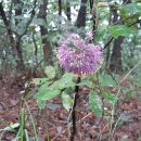 대평경로당 이미지