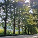 한덕수 구속영장 기각! 수구반동세력 궐기 신호탄! / 폭주하는 특별재판부 설치 요구! / 정청래 질문! 장동혁 깐죽 답변! 정치미숙 들 이미지