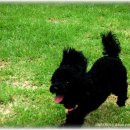 배다리 박물관 이미지