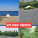 아미2길 네이버블로그