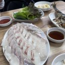 돼지네회집