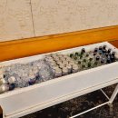 (주)라한호텔목포 이미지