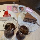 스시요요기 | 시댁 다녀 옴 (엔시티위시 도쿄 요요기 후기)