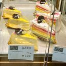 타임투영어교습소 | [경기도 광주] 넓은 대형카페 투힐스 - 넓은 주차장과 식물 구경하는 재미