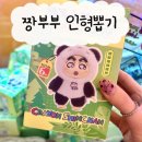 정릉인형뽑기방 | [여천 인형뽑기방] 짱부부 키링 후기 여수 시청 근처 인형뽑기방에서 뽑았슨