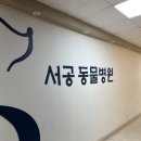 서공동물병원 이미지