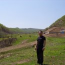 조선농장 이미지