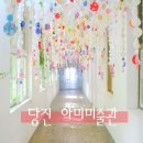 ＜＜사진찍기 좋은곳《아그로랜드 태 신 목 장》자차여행(총 인원4명)＞＞2030여행동호회 1박2일따라하기 이미지