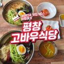 고바우 | 물막국수부터 떡만두국까지 고바우식당 리얼후기