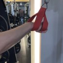 정우헬스 | 헬스스트랩 바꾸고 등운동 체감이 달라진 이유는 스테디